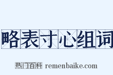 略表寸心组词是什么意思的图片